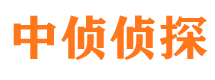 西陵外遇调查取证